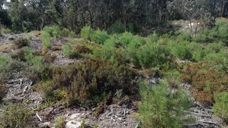 Land for sale in Óbidos, Portugal — €650,000