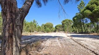 Land for sale in Grândola, Portugal — €2,000,000