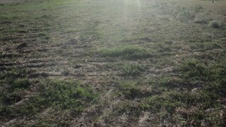 Land for sale in Montijo, Portugal — €420,000