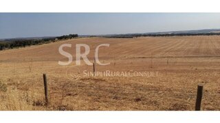 Land for sale in Alandroal, Portugal — €1,400,000