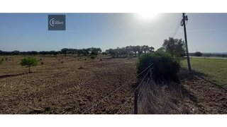 Land for sale in Grândola, Portugal — €532,000