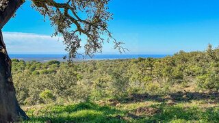Land for sale in Santiago do Cacém, Portugal — €950,000