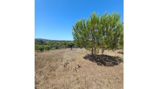 Land for sale in Grândola, Portugal — €1,000,000