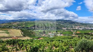 Land for sale in Lamego, Portugal — €1,340,000