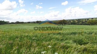 Land for sale in Ferreira do Alentejo, Portugal — €3,200,000