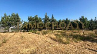 Land for sale in Paredes, Portugal — €1,150,000