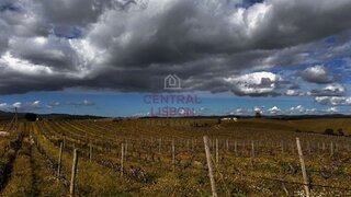 Land for sale in Alandroal, Portugal — €3,000,000