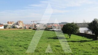 Land for sale in Albergaria-a-Velha, Portugal — €550,000