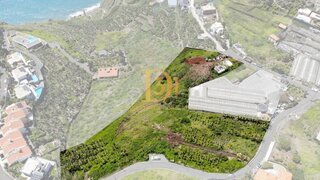 Land for sale in Ribeira Brava, Portugal — €200,000