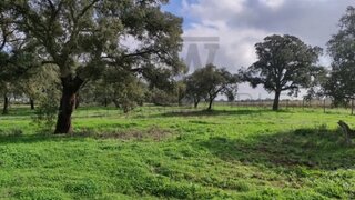 Land for sale in Palmela, Portugal — €1,800,000