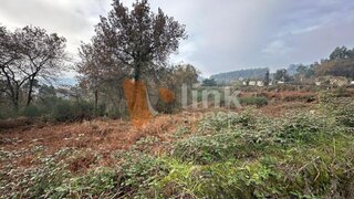 Land for sale in Vila Verde, Portugal — €1,350,000
