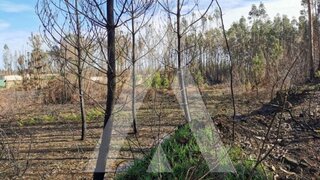 Land for sale in Águeda, Portugal — €462,900