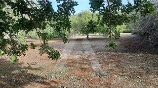 Land for sale in São Brás de Alportel, Portugal — €500,000