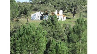 Land for sale in Mora, Portugal — €550,000