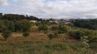 Terreno em Viseu · 20 000 m² · 400 000 €