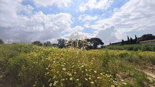 Land for sale in Montijo, Portugal — €799,000