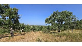 Land for sale in Santiago do Cacém, Portugal — €680,000