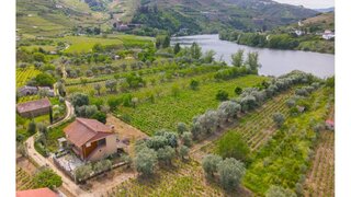 Land for sale in Lamego, Portugal — €800,000