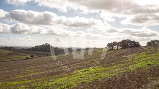 Land for sale in Odemira, Portugal — €620,000
