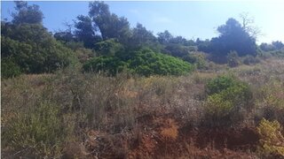 Land for sale in Loulé, Portugal — €800,000