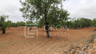 Terreno de 8250 m² em Faro