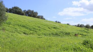 Land for sale in Santiago do Cacém, Portugal — €800,000