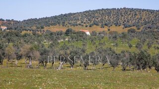 Land for sale in Alter do Chão, Portugal — €1,365,000