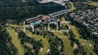 Terreno de 560 000 m² em Viana do Castelo