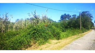 Land for sale in Mafra, Portugal — €700,000