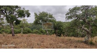 Land for sale in Grândola, Portugal — €1,380,000