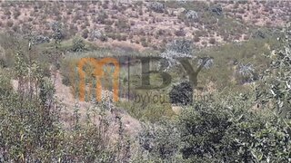 Land for sale in Mértola, Portugal — €650,000