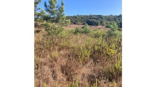 Land for sale in Sesimbra, Portugal — €550,000