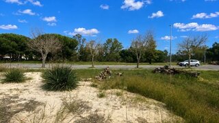 Land for sale in Alcácer do Sal, Portugal — €430,000