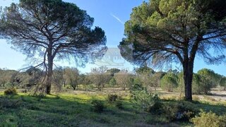 Land for sale in Grândola, Portugal — €2,780,000