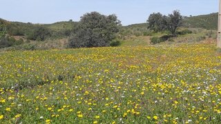 Terreno · 147 560 m² · 450 000 €