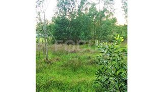 Land for sale in Ílhavo, Portugal — €840,000