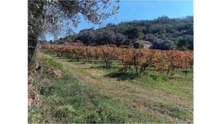 Land for sale in Ponte de Lima, Portugal — €950,000