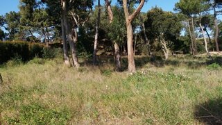 Land for sale in Sintra, Portugal — €10,000,000