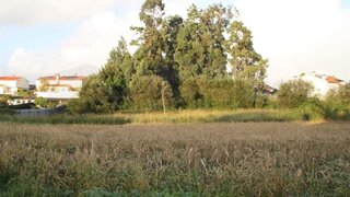 Terreno de 5800 m² em Aveiro