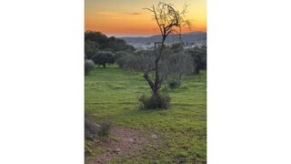 Land for sale in São Brás de Alportel, Portugal — €1,000,000