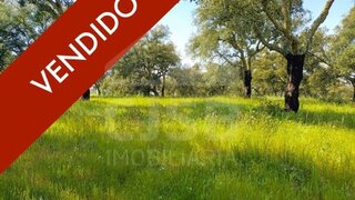 Land for sale in Benavente, Portugal — €400,000