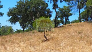Land for sale in Grândola, Portugal — €500,000