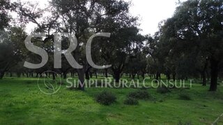 Land for sale in Avis, Portugal — €1,122,000