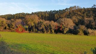 Land for sale in Odemira, Portugal — €1,250,000