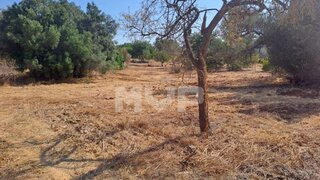 Land for sale in Loulé, Portugal — €1,500,000