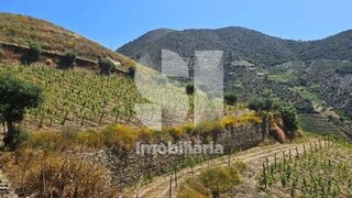 Land for sale in São João da Pesqueira, Portugal — €3,390,000