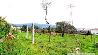 Terreno de 10 000 m² em Viana do Castelo
