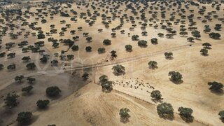 Land for sale in Serpa, Portugal — €4,000,000