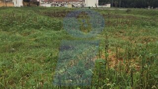 Land for sale in Anadia, Portugal — €809,000