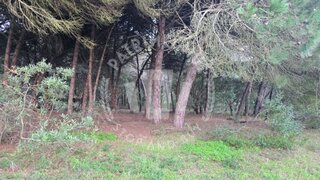 Land for sale in Sines, Portugal — €600,000